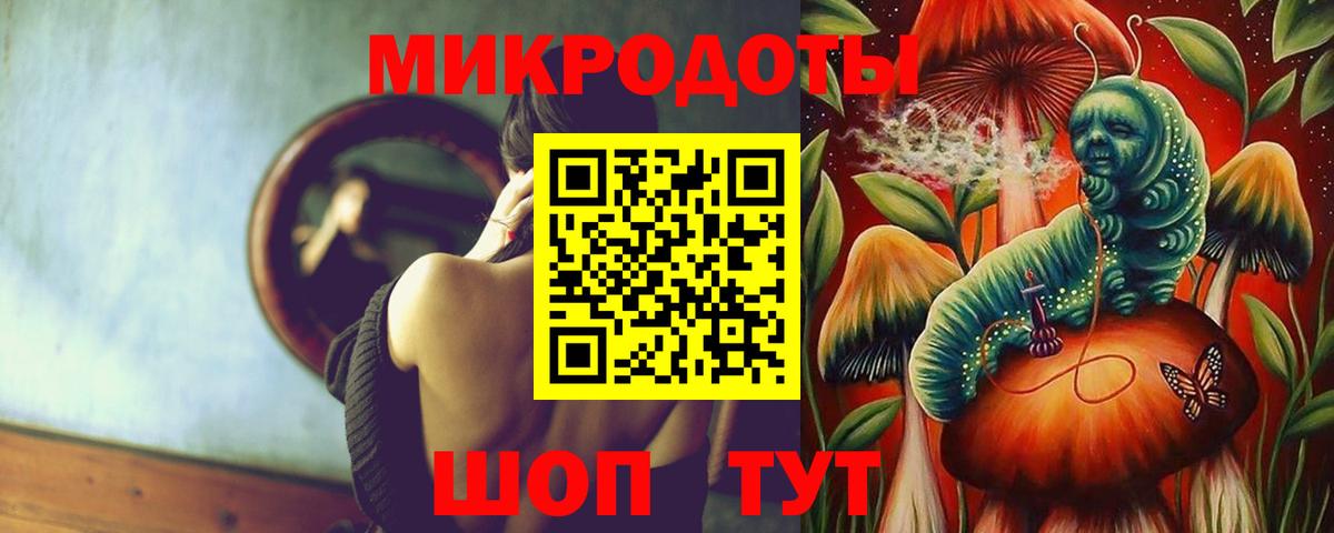 Камень-на-Оби  Псилоцибиновые грибы мицелий  Вход с VPN  Галлюциногенные грибы Psilocybine cubensis 